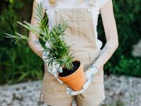 7 ways to make your property more attractive to potential buyers