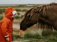 More carrot, less stick: Comprehensive Credit Reporting