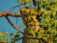 Sneaky rate hikes – is your lender behind them?