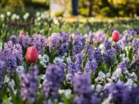 Spring selling season is here. What’s different in 2026?