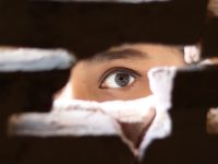 Want to know how much your neighbours paid for their first homes?