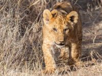 On the hunt for a new loan provider?