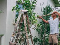 Best Aussie suburbs to find a "renovator’s dream"