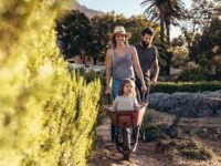 Thinking of a tree change? You might find more affordable homes